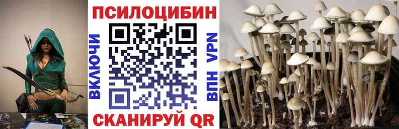 Купить  Дагестанские Огни  Псилоцибиновые грибы GOLDEN TEACHER 